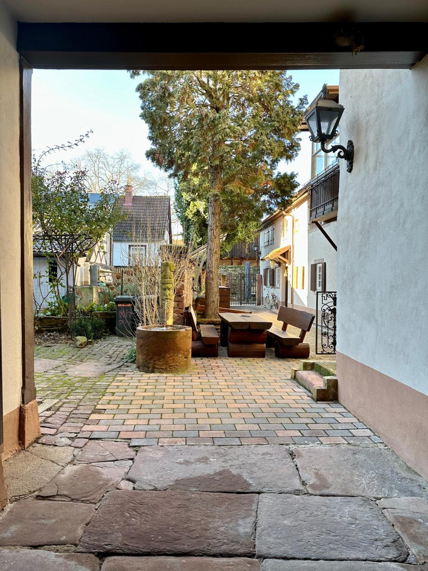 Exklusives Haus, Ruhig Gelegen Im Innenhof, Zentral, Lichtdurchflutet, Karlsruhe Exterior photo